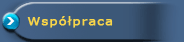 Wsppraca