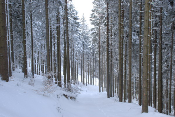 03.JPG