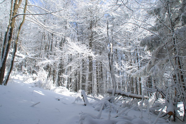 05.JPG