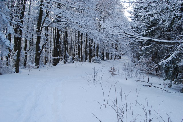 09.JPG