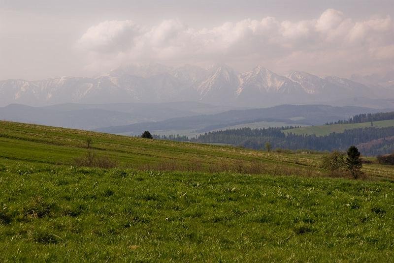 012.jpg - Panorama na Tatry z Wielkiego Pola