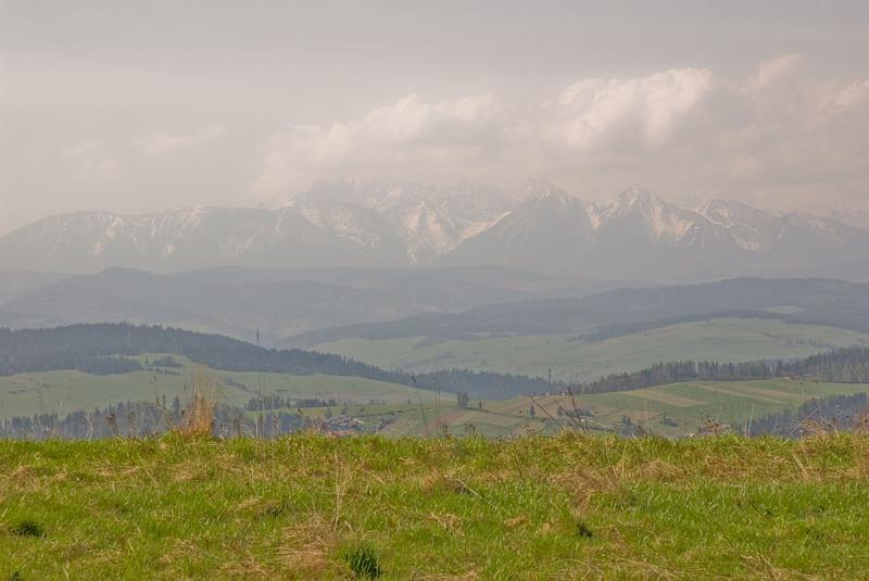 017.jpg - Panorama na Tatry z Wielkiego Pola