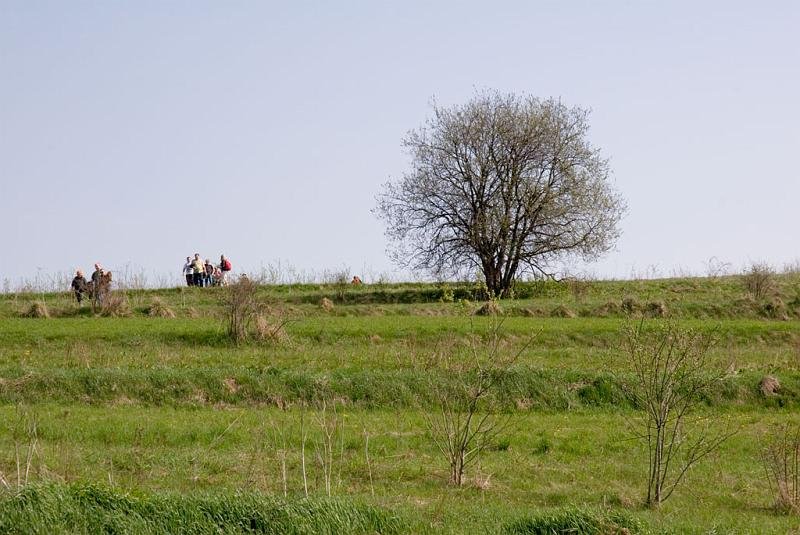020.jpg - Panorama z Wielkiego Pola