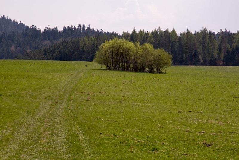 100.jpg - Panorama z Majerza