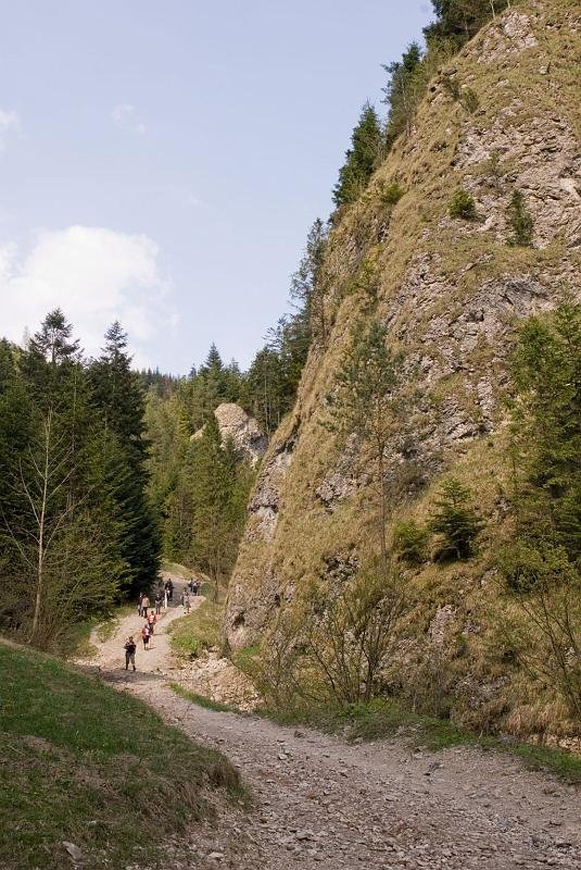 121.jpg - Wąwóz Szopczański