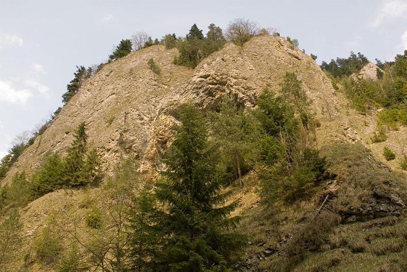 122.jpg - Wąwóz Szopczański