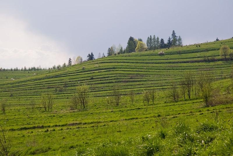 169.jpg - Panorama spod Schroniska "Trzy Korony"