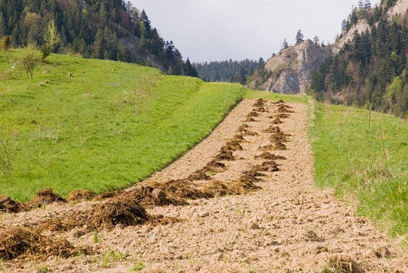 172.jpg - Panorama spod Schroniska "Trzy Korony"