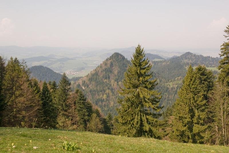 185.jpg - Panorama spod Trzech Koron