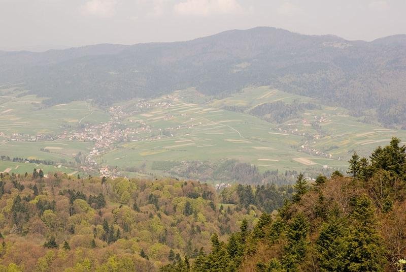 197.jpg - Panorama z Okrąglicy