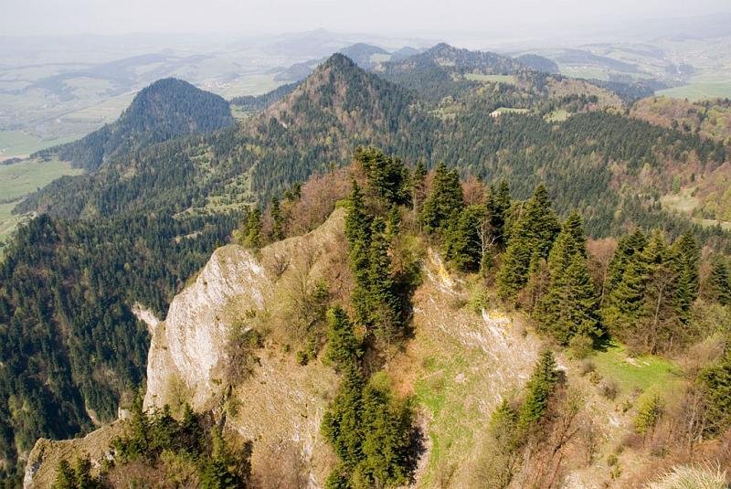 211.jpg - Panorama z Okrąglicy