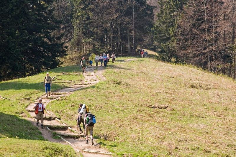 235.jpg - Polana Kosarzyska