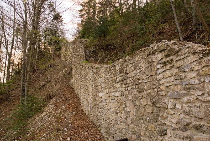 251.jpg - Zamek Pieniny