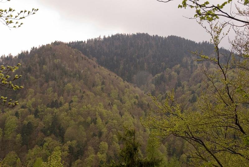 267.jpg - Zamkowa Góra - Panorama z Sokolej Perci