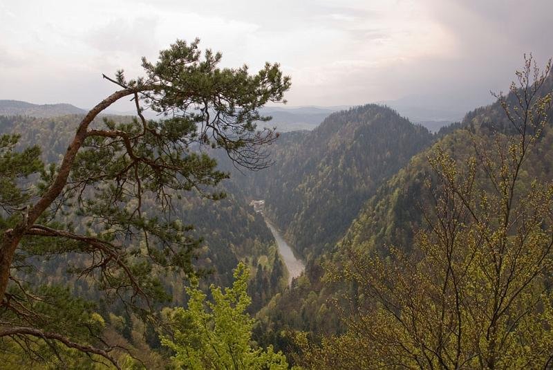276.jpg - Przełom Dunajca - Panorama z Sokolej Perci