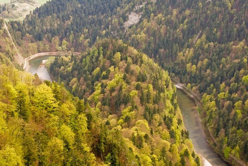 295.jpg - Dunajec - Panorama z Sokolicy