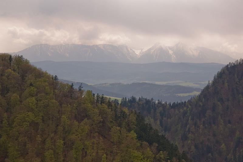 318.jpg - Tatry - Panorama z Sokolicy