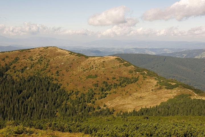 0226.jpg - Panorama na Mała Babią Górę