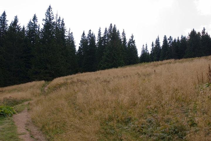 0269.jpg - Polanka na szkalu na Pilsko