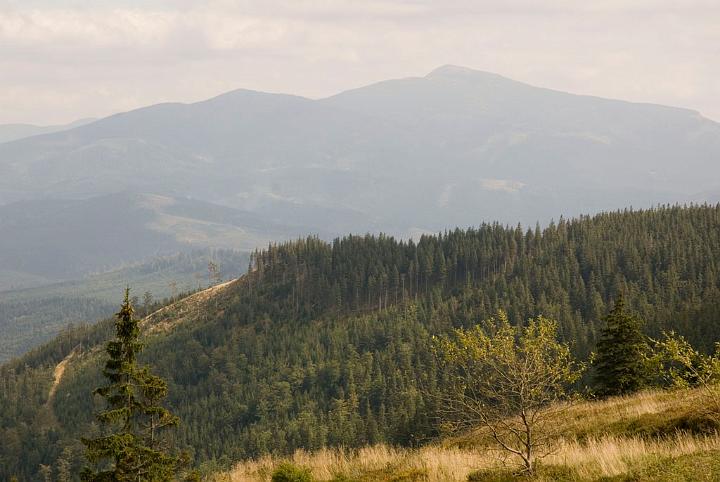 0286.jpg - Masyw Babiej Góry - Panorama z Hali Miziowej