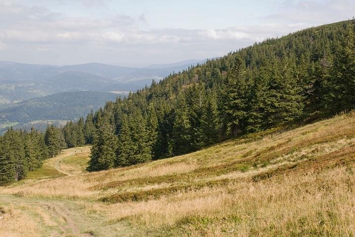 0300.jpg - Panorama ze szlaku na Pilsko