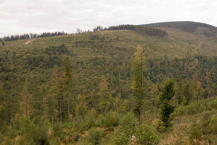 0447.jpg - Czyrniec - 1328 m n.p.m.