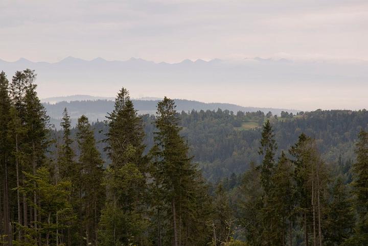 0452.jpg - Tatry - Panorama ze szlaku na Halę Krupową