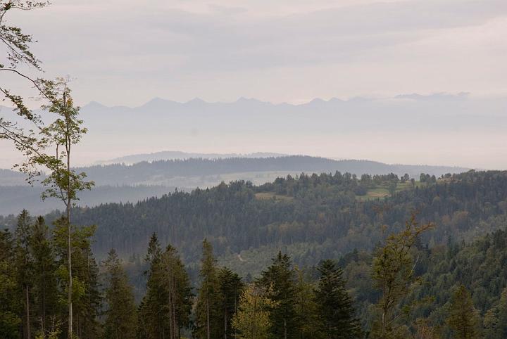 0459.jpg - Tatry - Panorama ze szlaku na Halę Krupową