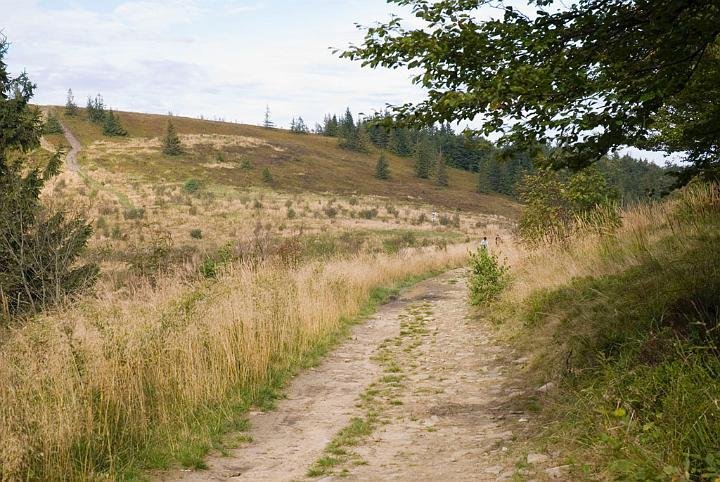 0489.jpg - Widok na Halę Krupową